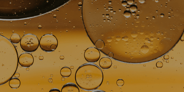 Jak wybrać dobry olej omega-3 dla psa i kota? Kompletny przewodnik
