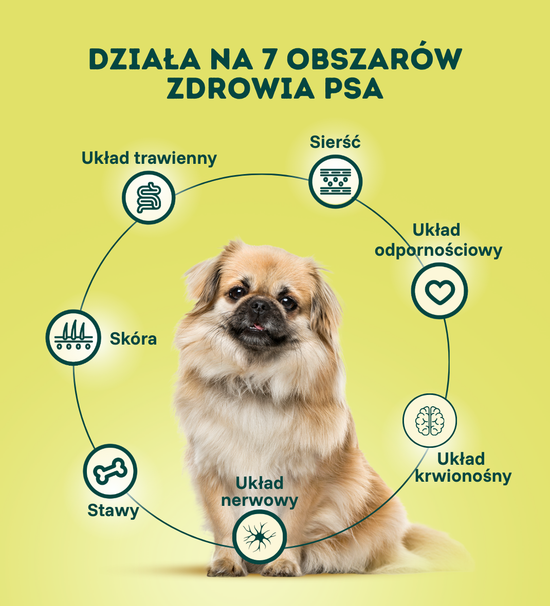 Suplement dla psa The All-In-One