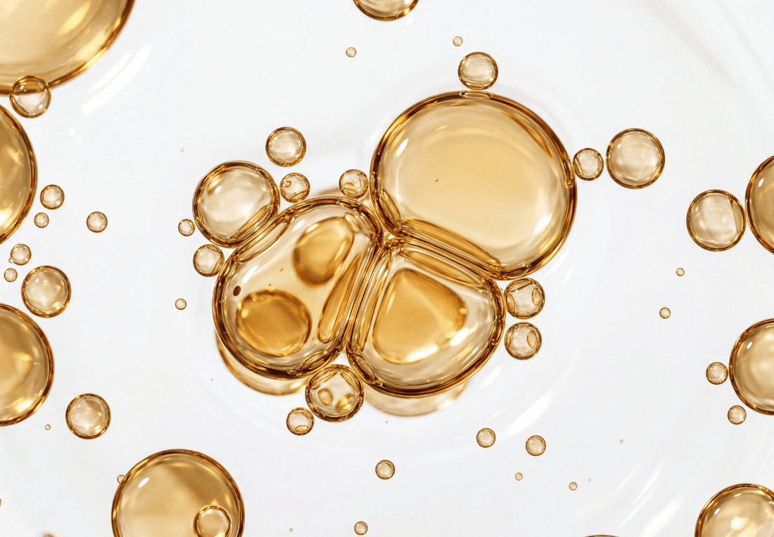 Omega-3 dla psa i kota: na co działa? Kiedy warto suplementować? Jak wybierać?