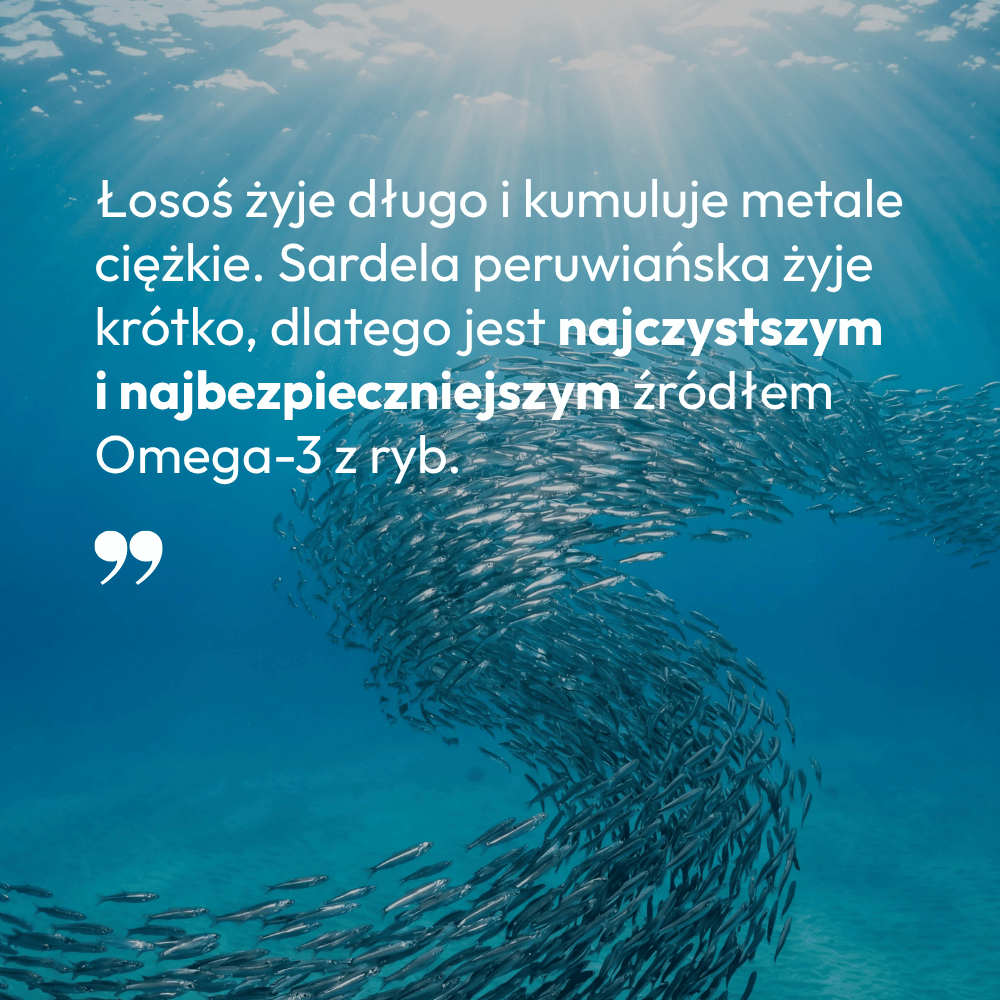 Olej z Sardeli Peruwiańskiej dla psa i kota - 100ml - TAiO