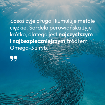 Olej z Sardeli Peruwiańskiej dla psa i kota - 100ml - TAiO