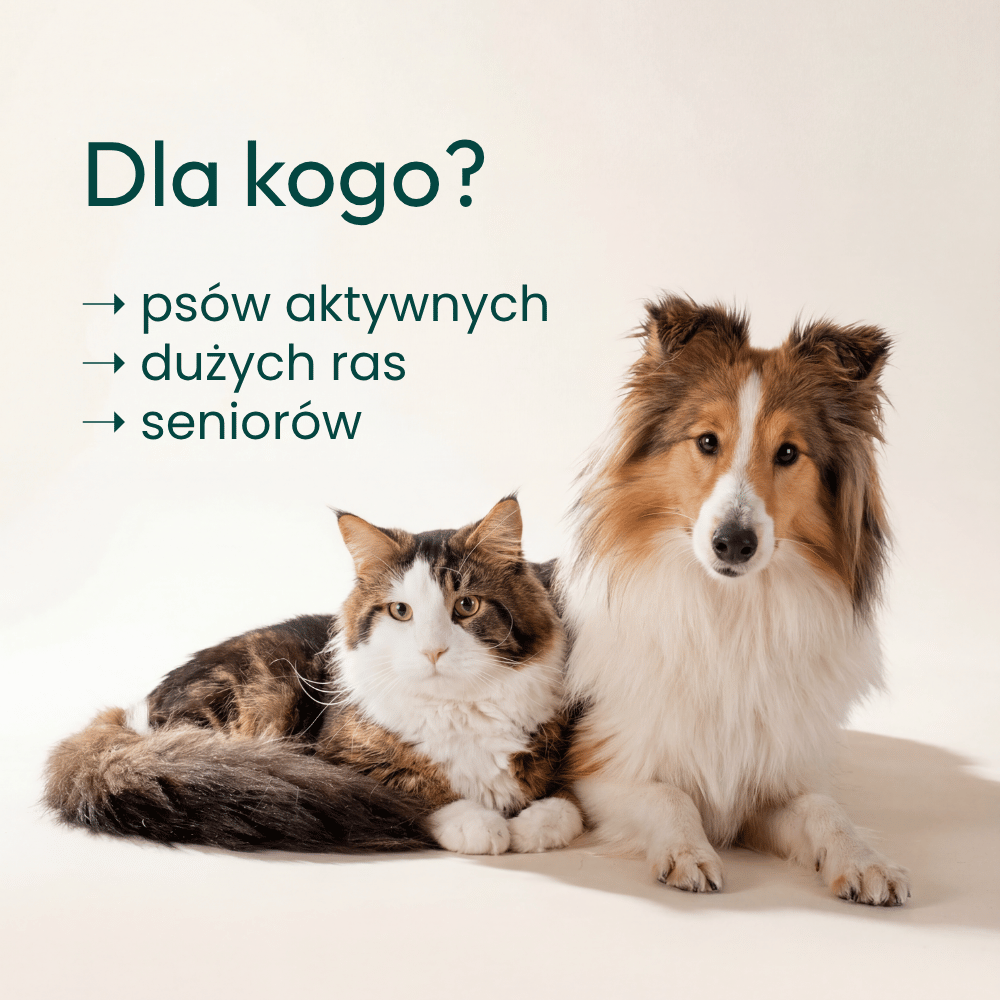 Olej z Sardeli Peruwiańskiej dla psa i kota - 100ml - TAiO