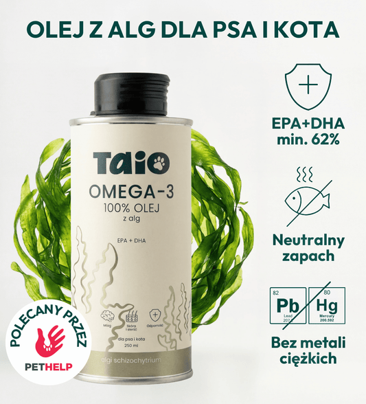 Olej Omega-3 z Alg dla psa i kota
