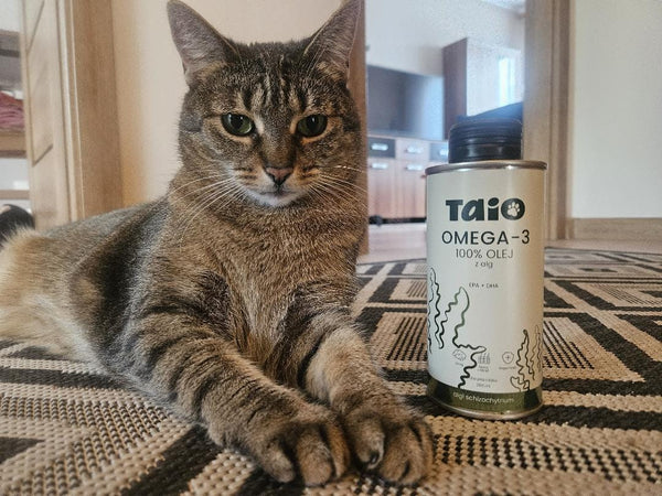 Kika