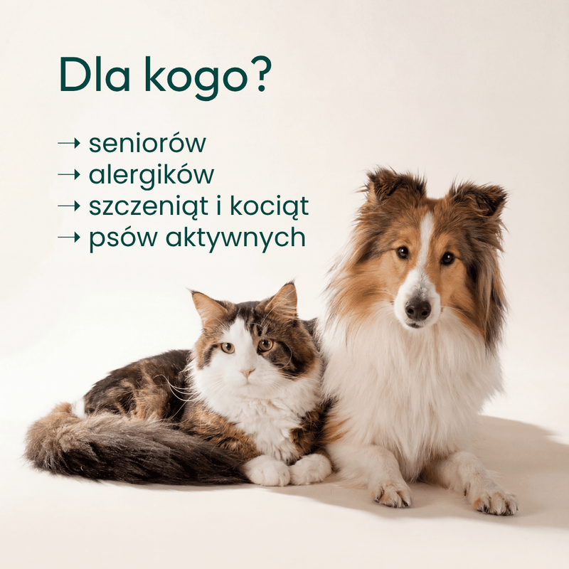 Olej Omega-3 z Alg dla psa i kota - Taio 250ml