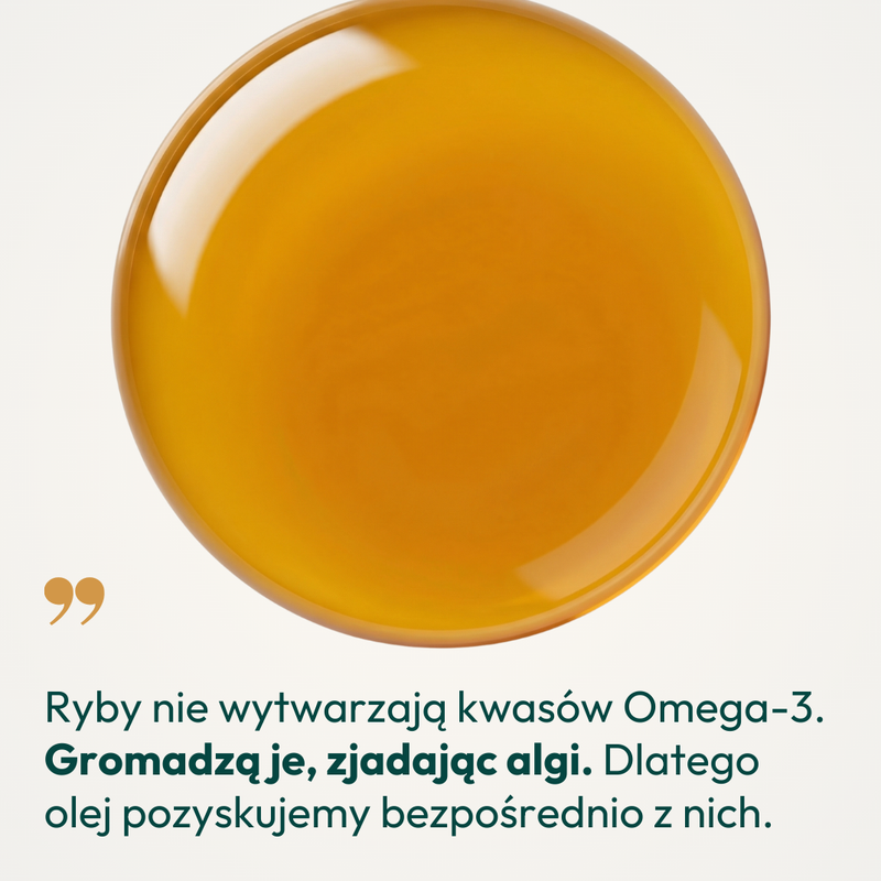 Olej Omega-3 z Alg dla psa i kota - Taio 250ml