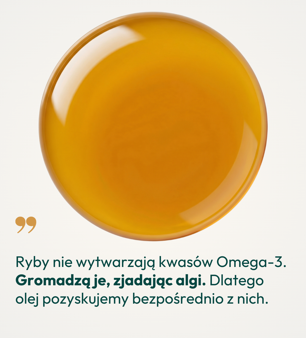 Dlaczego algi zamiast ryb