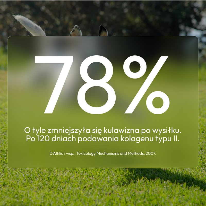 Suplement na stawy - Taio Mobility Care 150 g