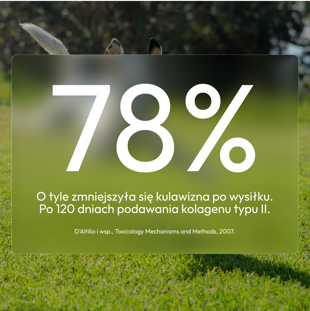 Suplement na stawy - TAiO Mobility Care 150 g