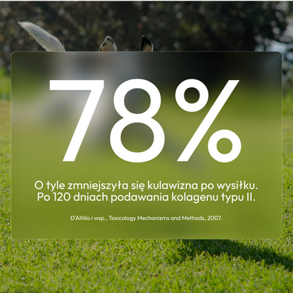 Suplement na stawy - TAiO Mobility Care 150 g