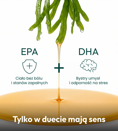 Olej Omega-3 z Alg dla psa i kota