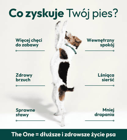 Suplement dla psa The One