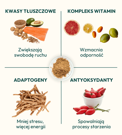 Suplement dla psa The One