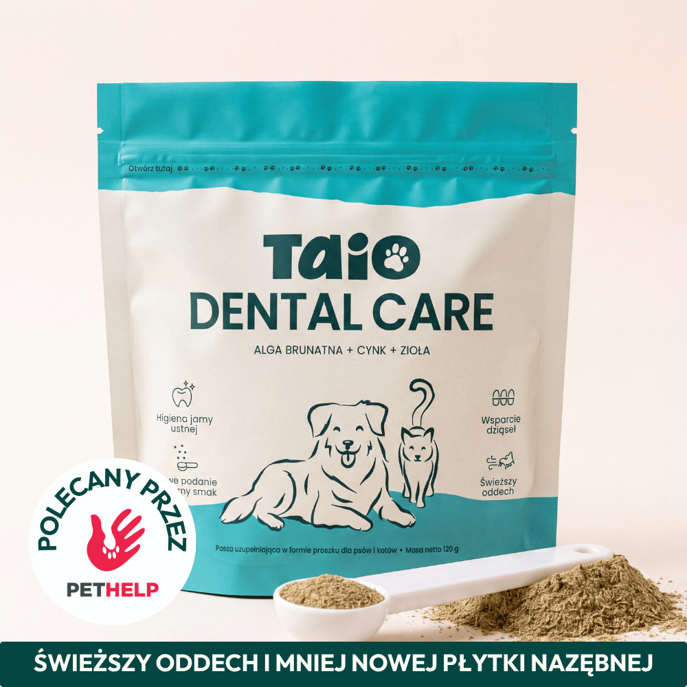 Suplement do higieny jamy ustnej - TAiO Dental Care 120g