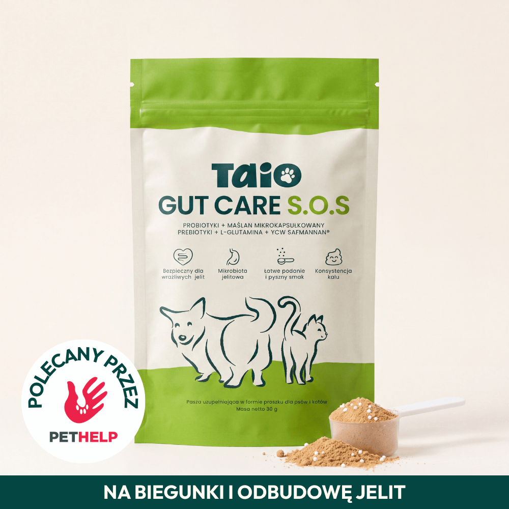 Probiotyki + Maślan Sodu - TAiO Gut Care SOS 30g