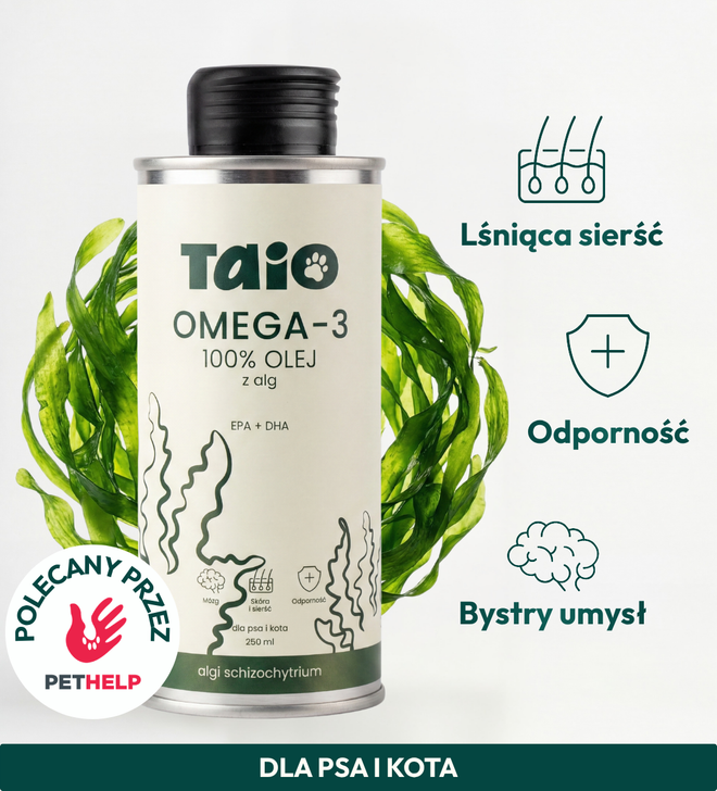Olej Omega-3 z Alg dla psa i kota - TAiO