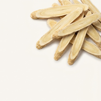 Traganek Błotniasty