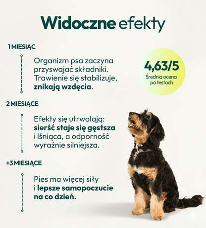 Suplement dla psa The One