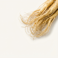 Żeń-szeń syberyjski